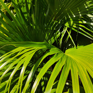 好湿⋯好紧⋯好多水好想要
